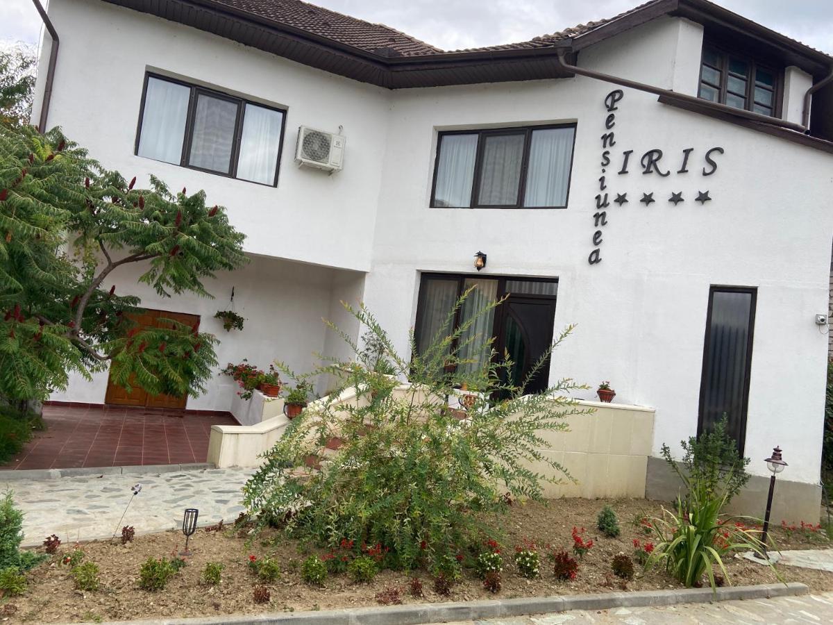 Pensiunea Iris Turcinesti Luaran gambar